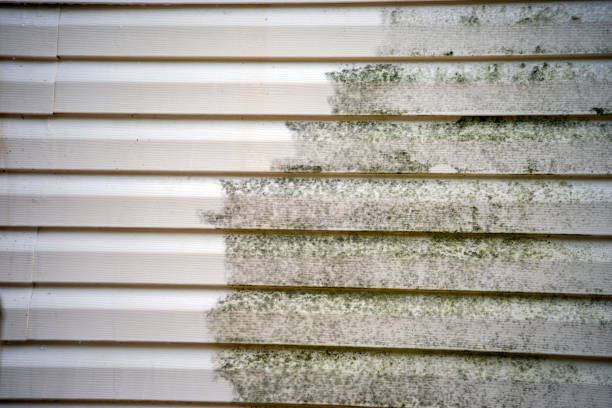 Affordable siding repair and maintenance services in Foley, AL