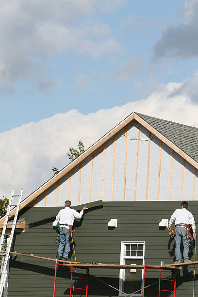 Best Custom Siding Design  in Foley, AL