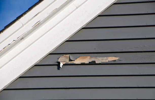 Best Siding Painting and Refinishing  in Foley, AL