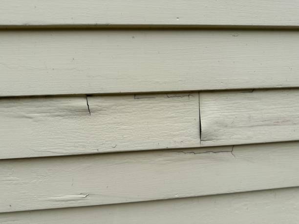 Best Siding for New Construction  in Foley, AL